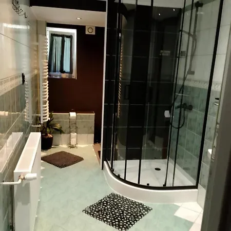 Swierkowe Zacisze 13km Energylandia Apartment