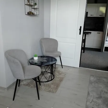 Swierkowe Zacisze 13km Energylandia Lägenhet