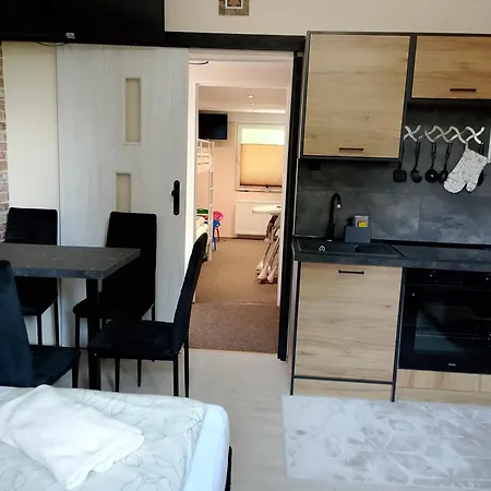 Apartment Swierkowe Zacisze 13km Energylandia Wożniki