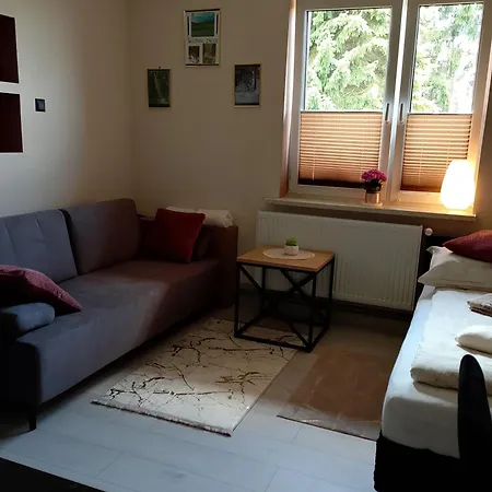 Apartment Swierkowe Zacisze 13km Energylandia