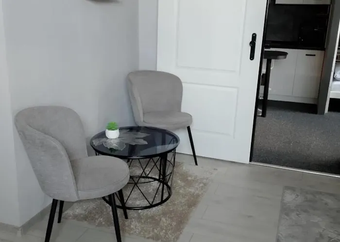 Swierkowe Zacisze 13km Energylandia Lejlighed